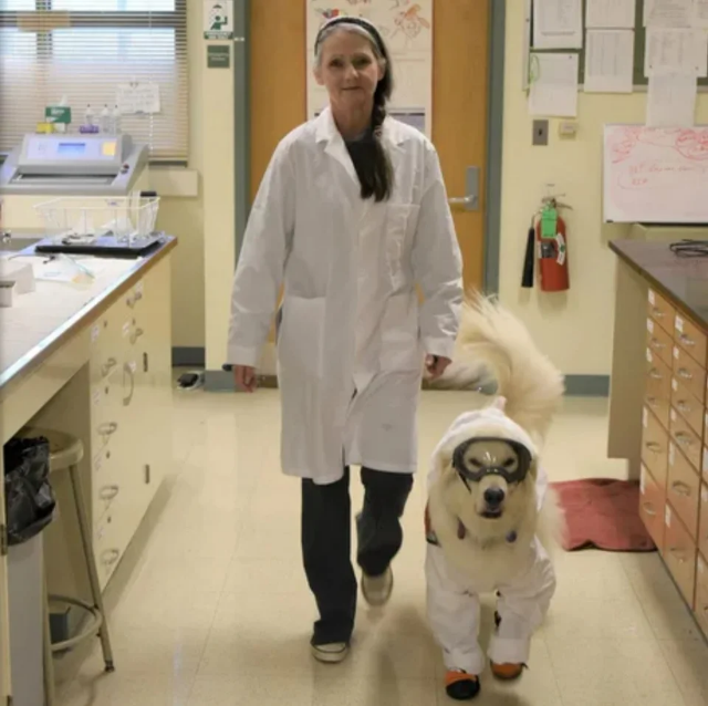sampson-is-allowed-into-the-lab-so-long-as-he-wears-full-ppe