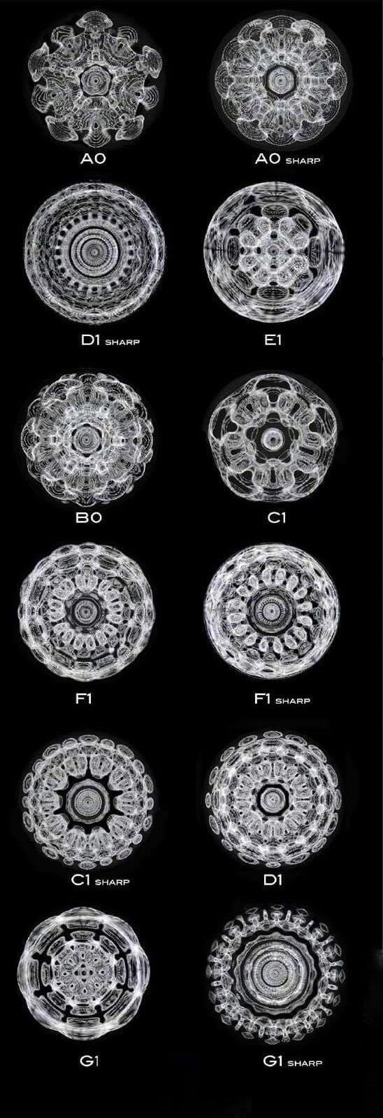 How different piano notes reverberate through a bowl of water