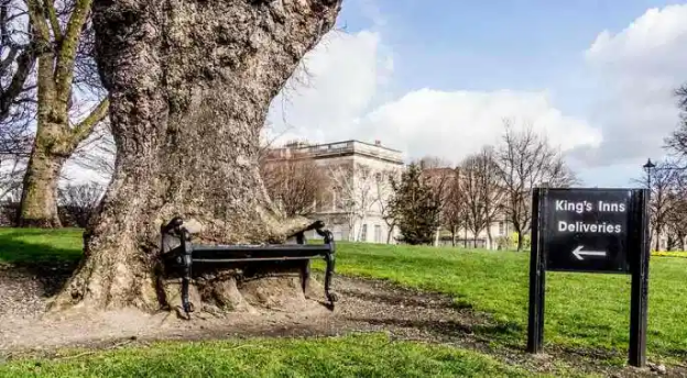 The Hungry Hungry Trees of Ireland