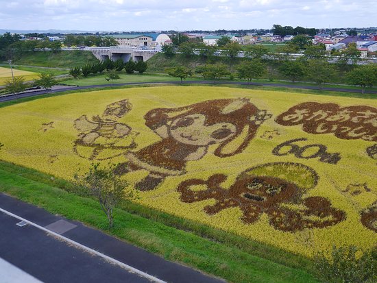 Inakadate's amazing rice art