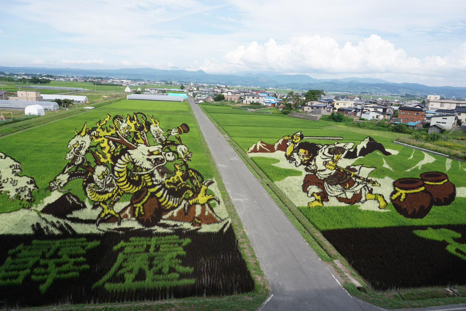 Inakadate's amazing rice art