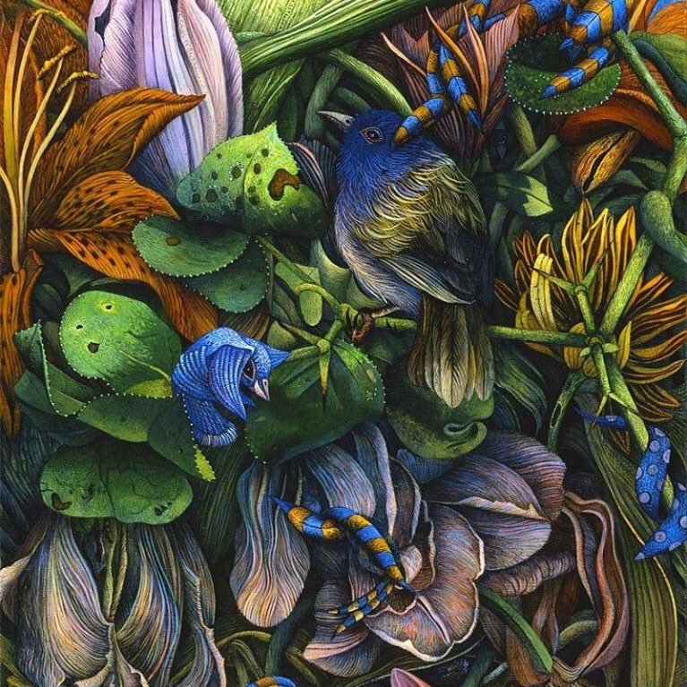 Judy Garfin's larger-than-life exquisite blumes and tangled vines