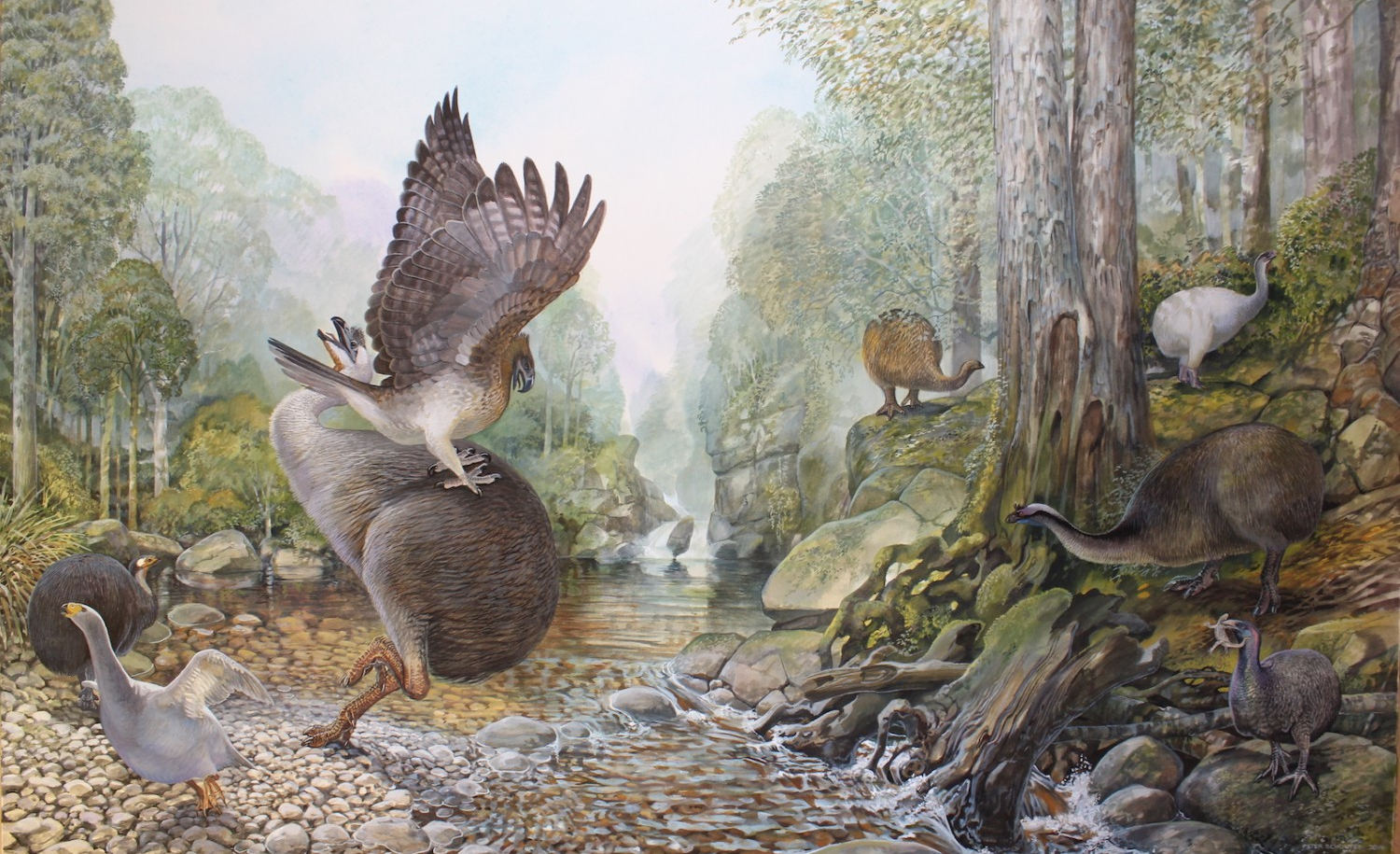 The Sky Bastard Who Ate My Ancestors in New Zealand