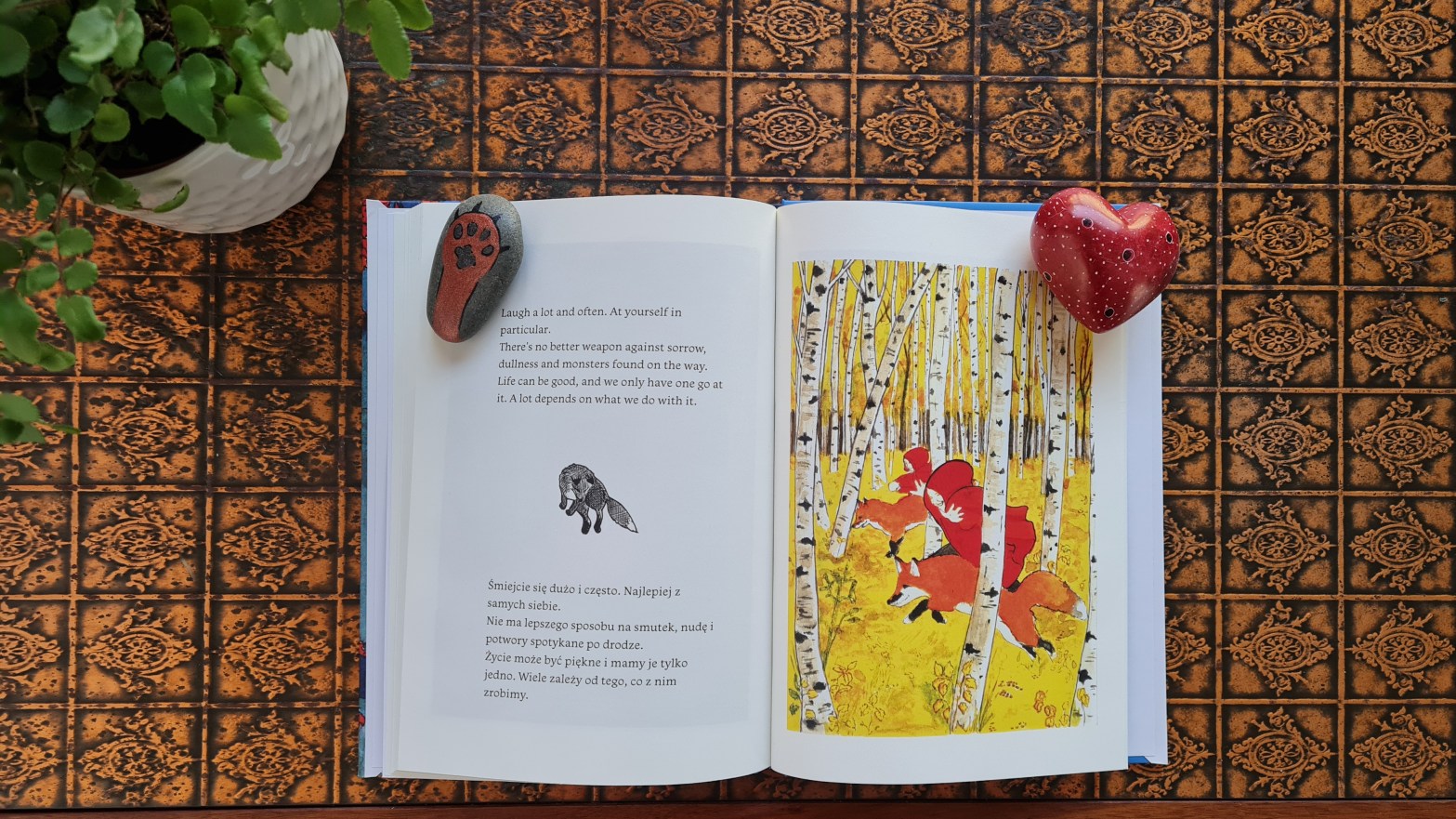 Book Review: Two Sisters: Unsolicited Advice to my Daughters by Małgorzata ‘Goo