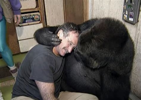 When twin souls meet: Robin Williams met Koko the Gorilla
