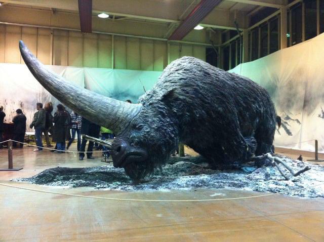 Elasmotherium was an amazing Siberian unicorn that went extinct circsa 39,000 years ago