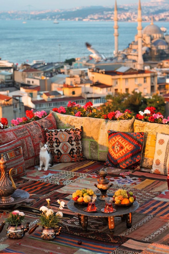  cat on a cosy rooftop in Istanbul