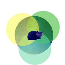 Content Catnip logo small transparent