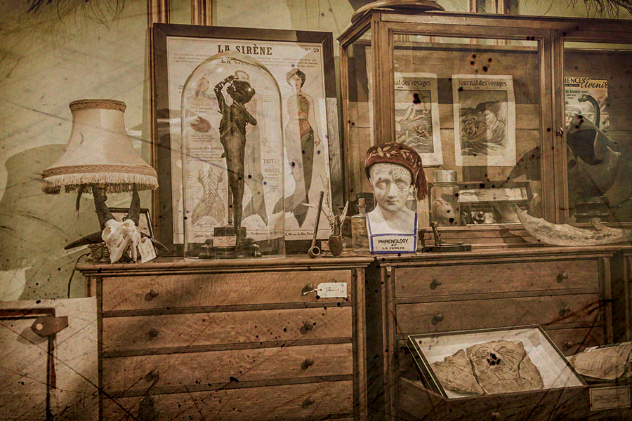 Deyrolle Museum of Curiosities in Paris