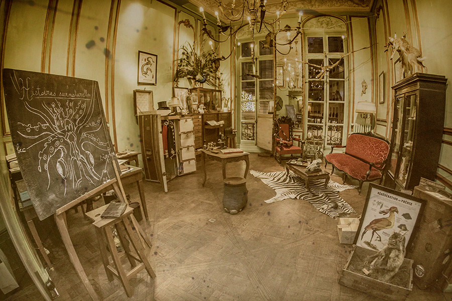 Deyrolle Museum of Curiosities in Paris