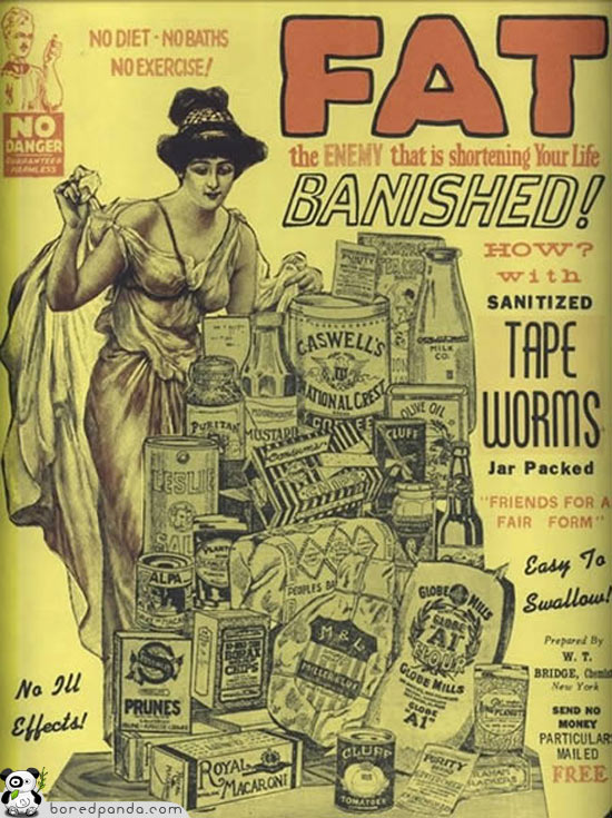 Love handles be gone! with sanitised tapeworms