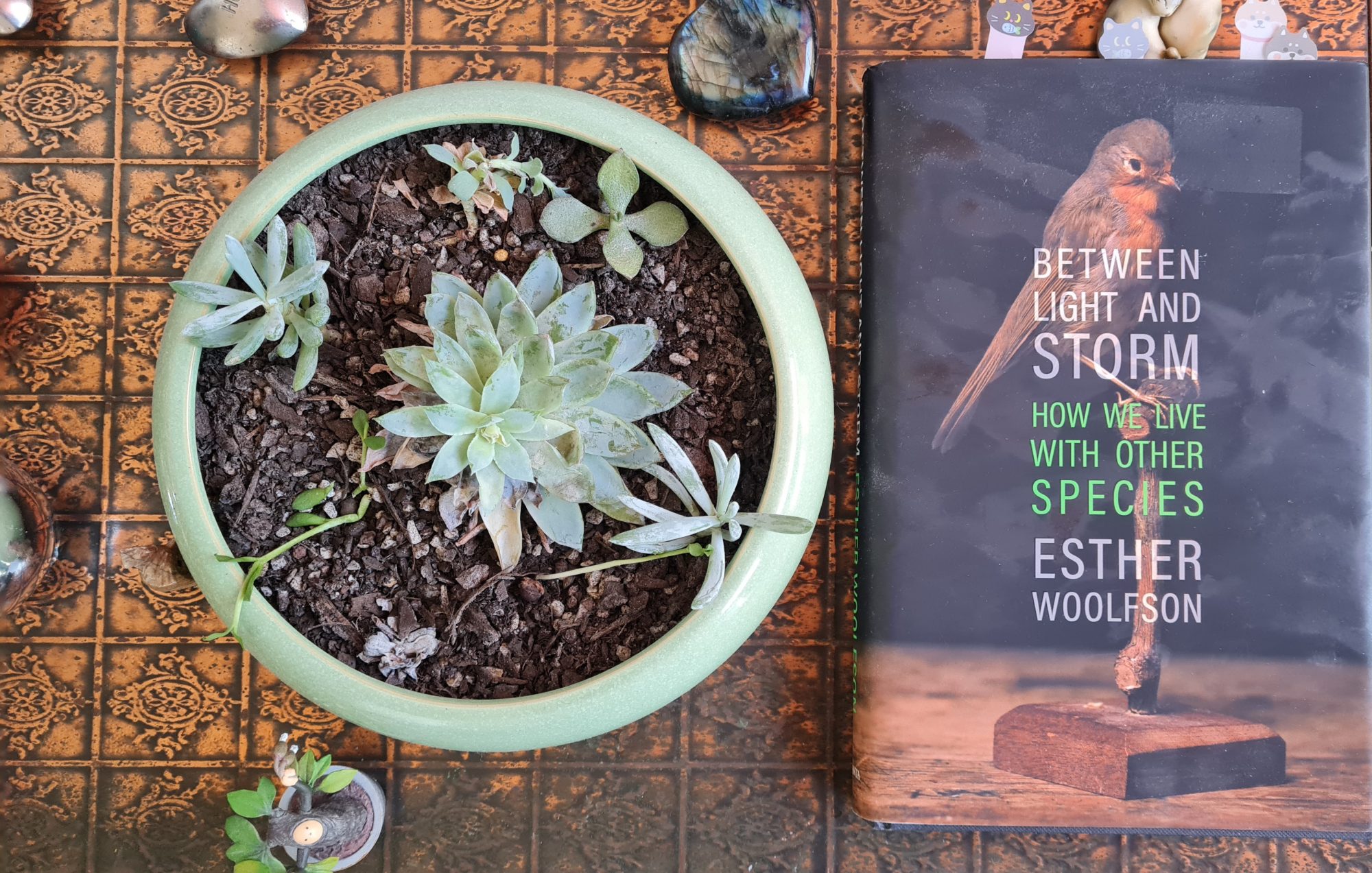 Book Review: Between Light and Storm: How We Live With Other Species by Esther Woolfson
