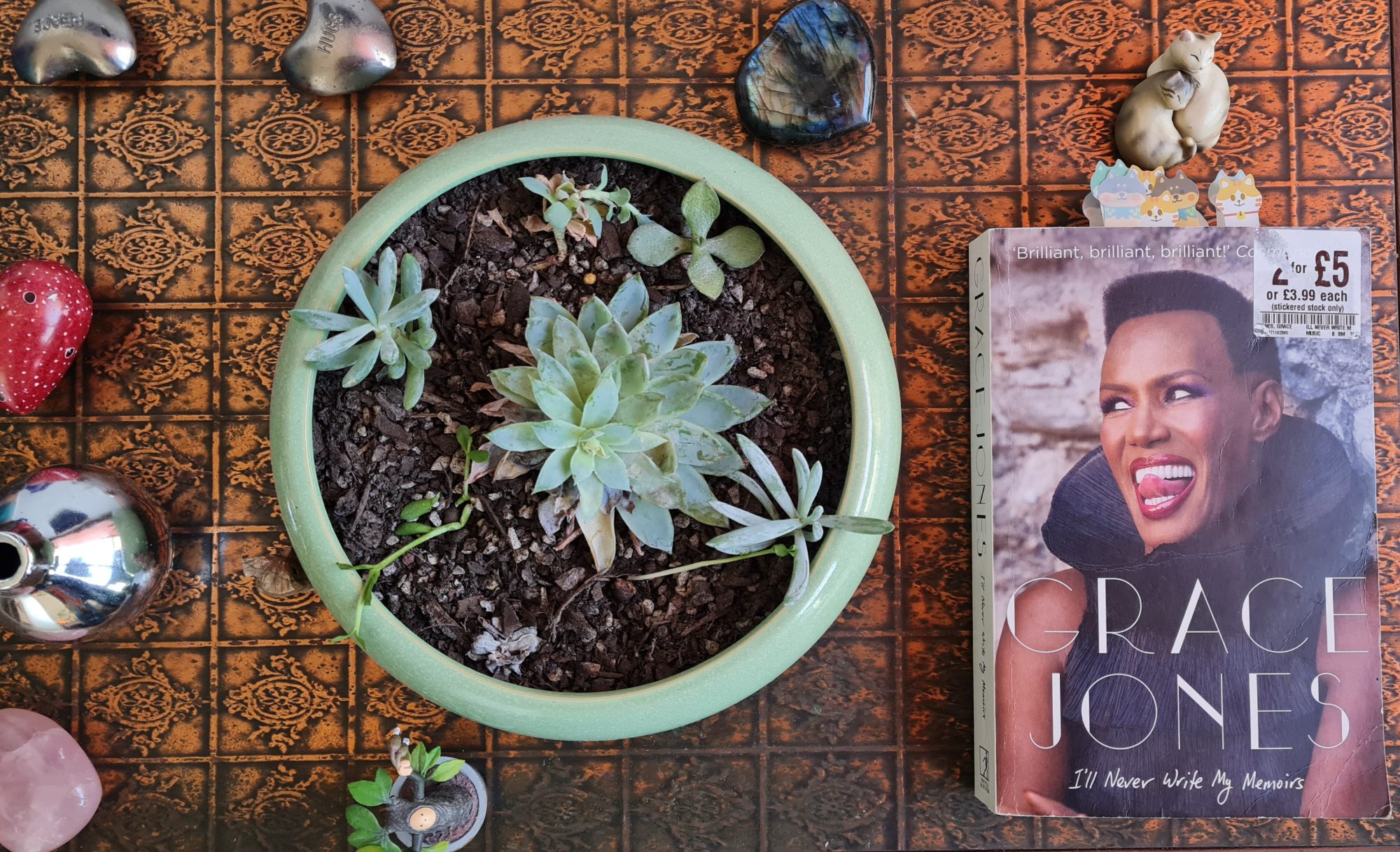 Book Review: Grace Jones, I'll Never Write My Memoirs