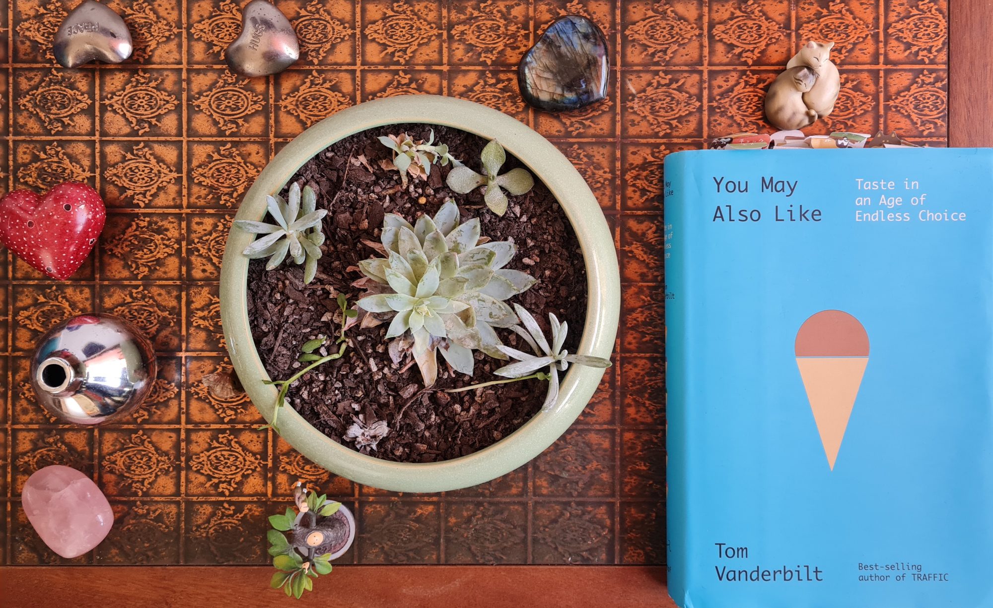 Book Review: You May Also Like by Tom Vanderbilt