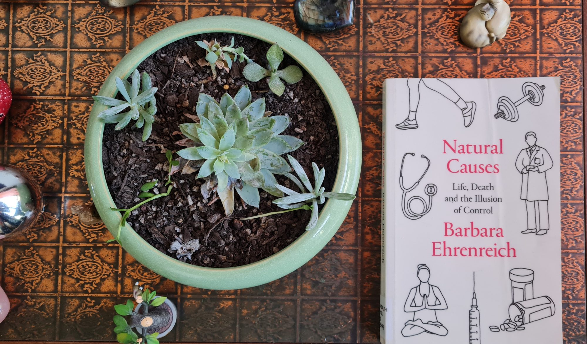 Book Review: Natural Causes: Life Death and the Illusion of Control by Barbara Ehrenreich