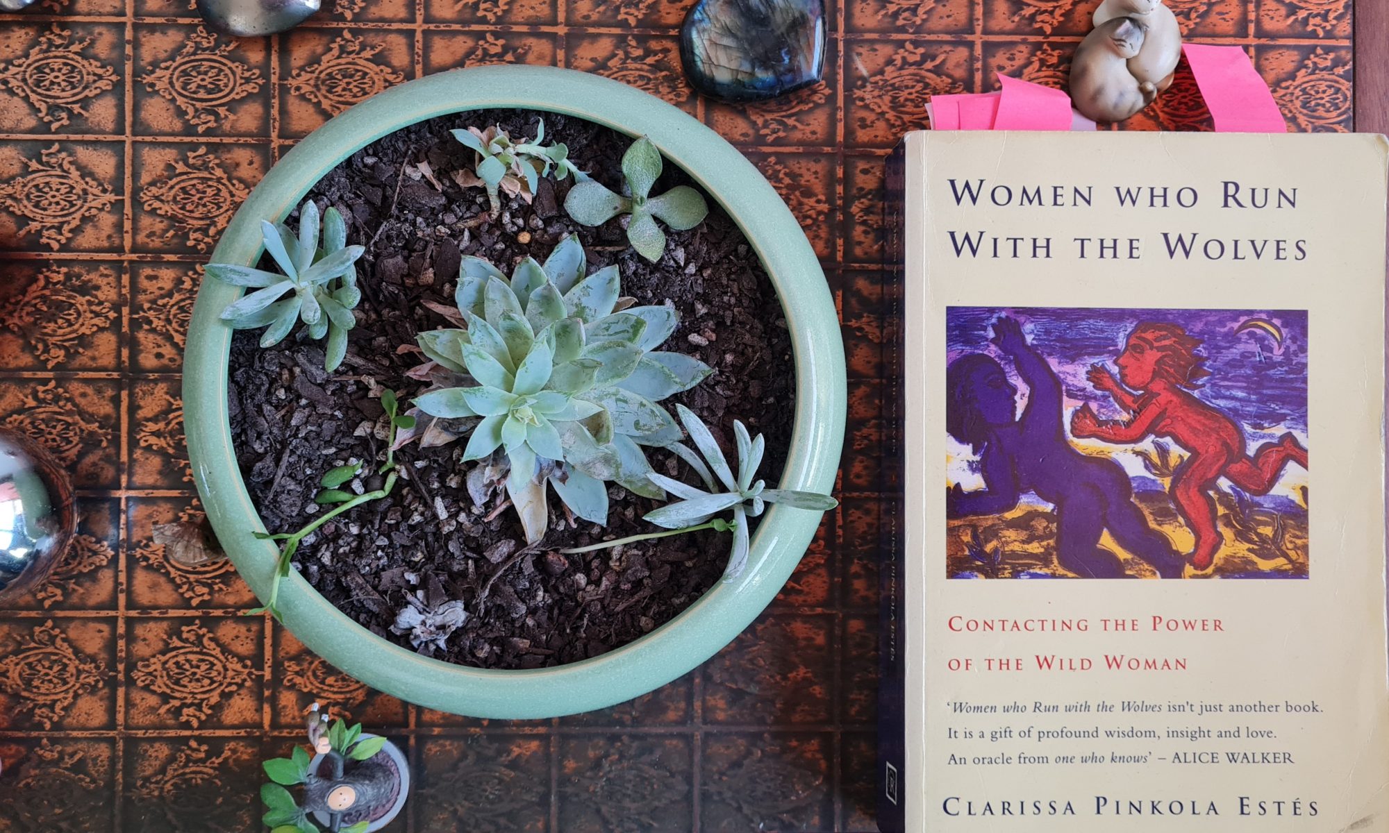 Book Review: Women Who Run With the Wolves by Clarissa Pinkola Estes