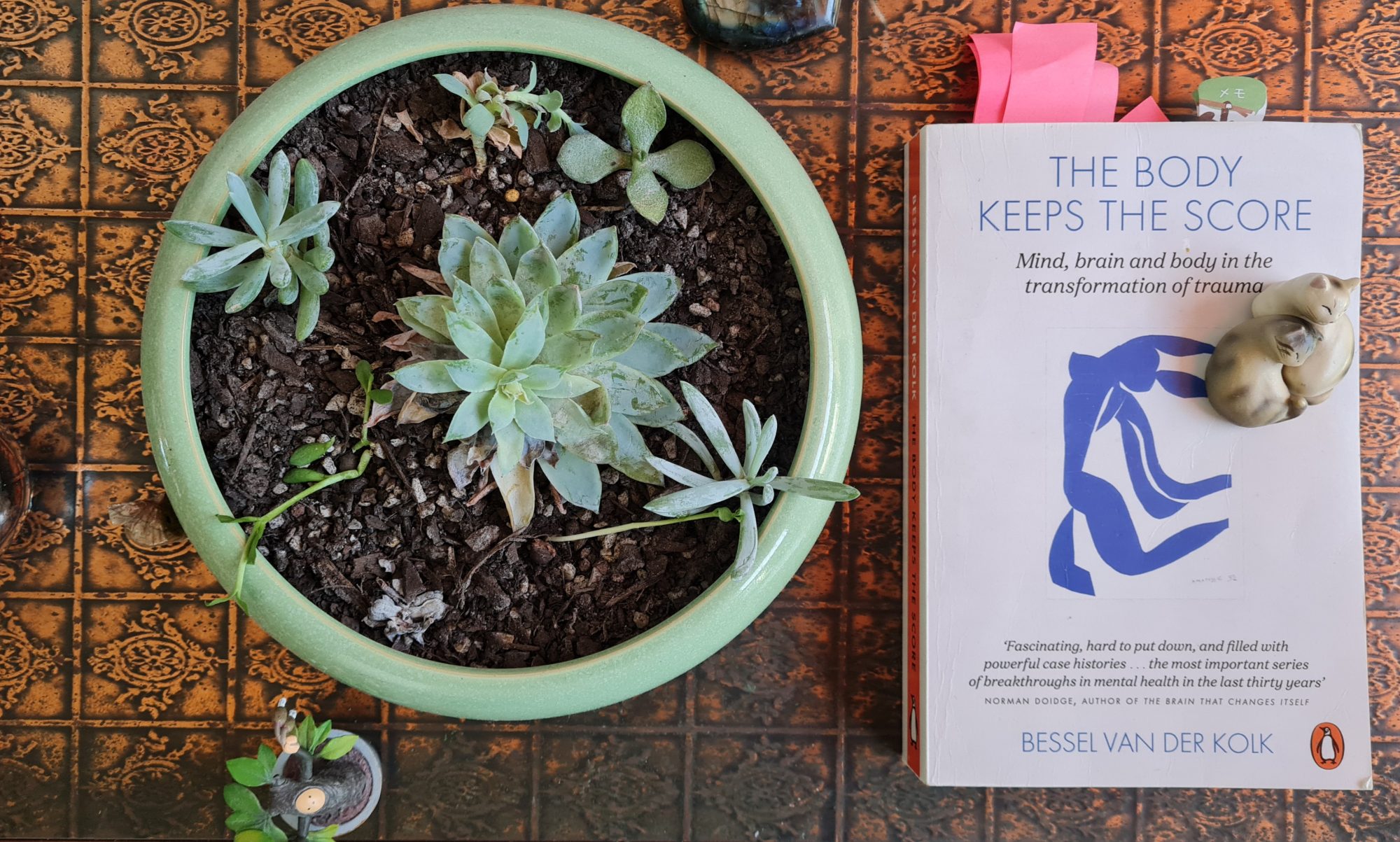 Book Review: The Body Keeps the Score: Mind, Brain and Body in the Transformation of Trauma by Bessel Van Der Kolk