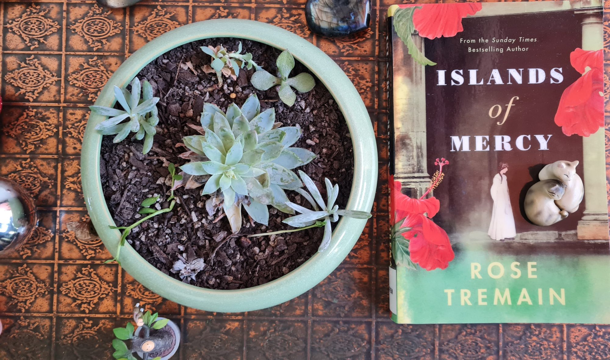 Book Review: Islands of Mercy by Rose Tremain