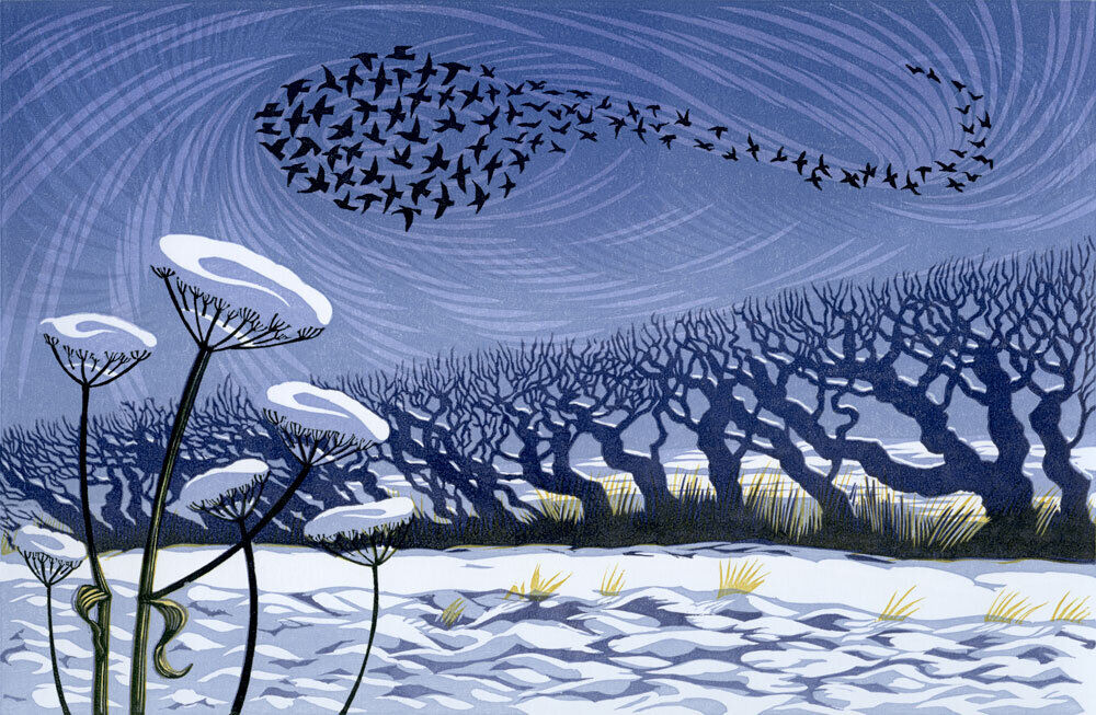 Snow Starlings, a linocut print by Niki Bowers