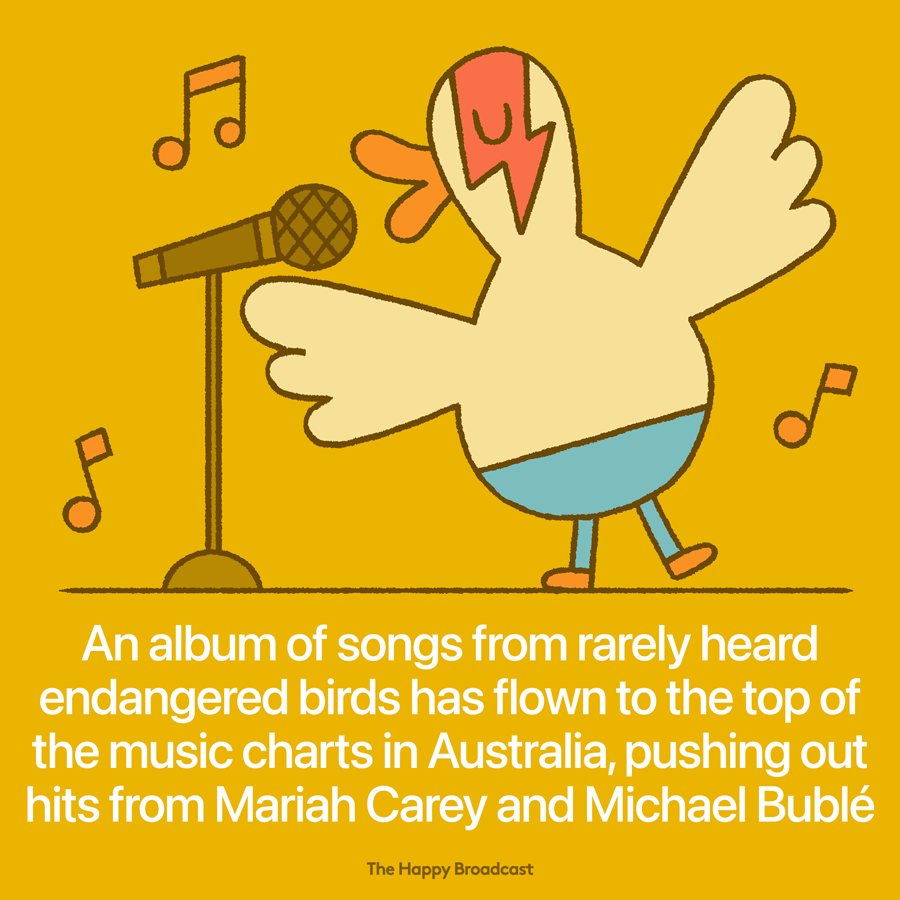 Iconic endangered Australian birds singing outsell Christmas albums in Australia! - by the uplifting website The Happy Broadcast