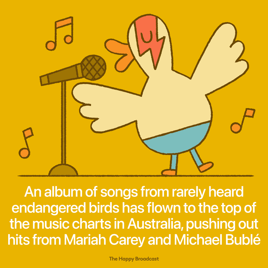 Iconic endangered Australian birds singing outsell Christmas albums in Australia! 