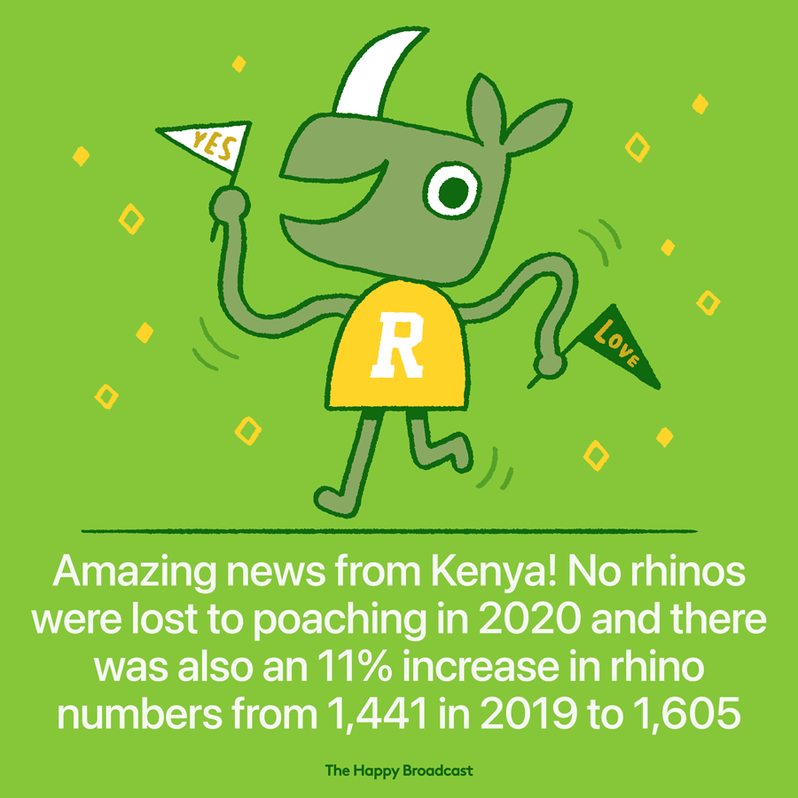 Great news from Kenya - no rhinos where poached there in 2020 and numbers increased!