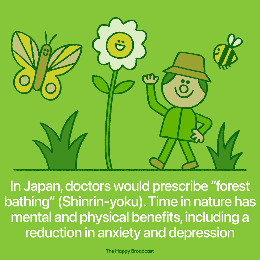 Shinrin-Yoku or the Japanese art of Forest Bathing has multiple mental and physical health benefits, via The Happy Broadcast 
