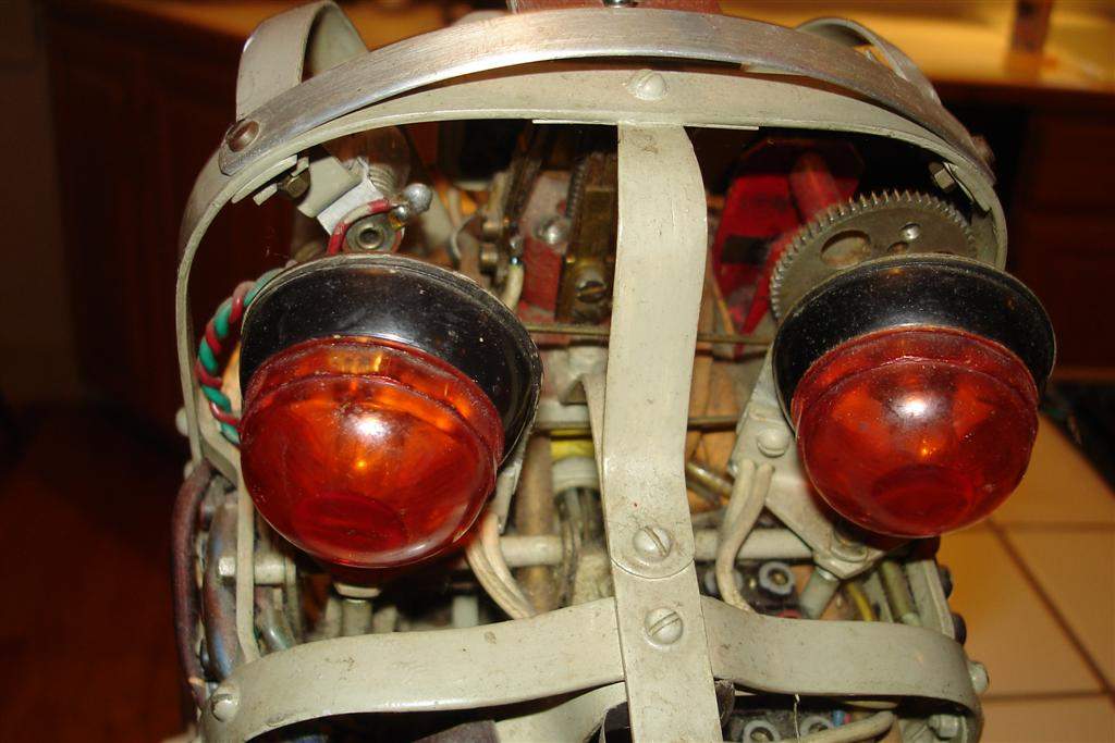 Tati the French cybernetic dog