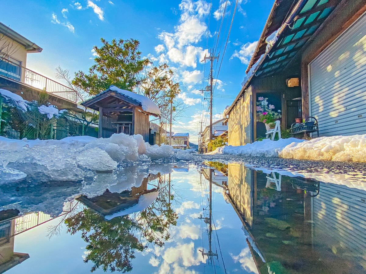 Comforting Thought: We Resemble Each Other Through What We See&nbsp;Together