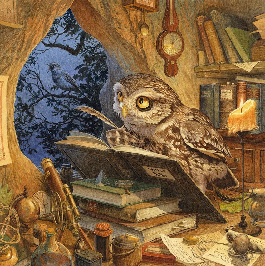 A studious and curious owl studies ornithology by artist Chris Dunn