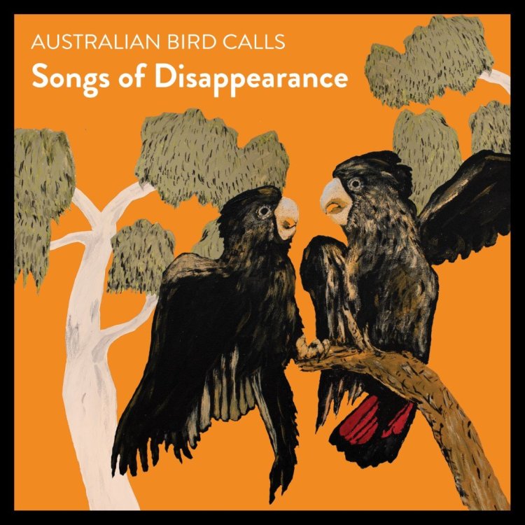 Iconic endangered Australian birds singing out-sell Christmas albums in Australia