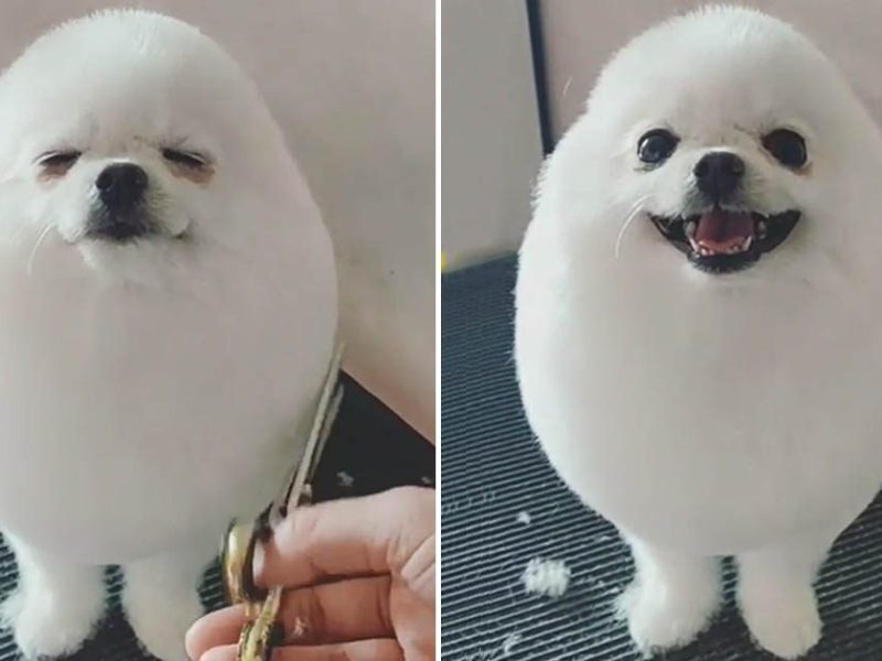 Ancient Words: Cute words in Polish and how to say&nbsp;them