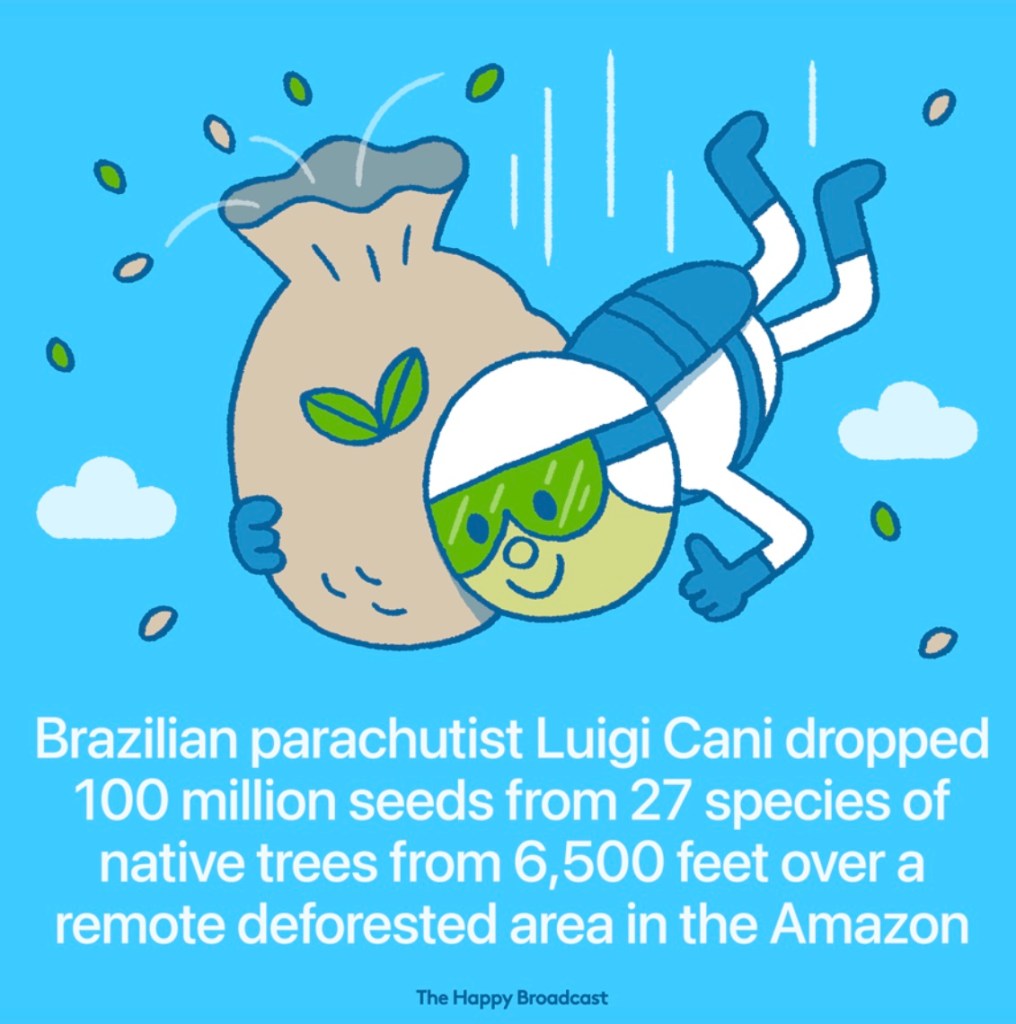Brazilian skydriver disperses 100 million seeds jumping out of a plane reforesting parts of the Amazon 