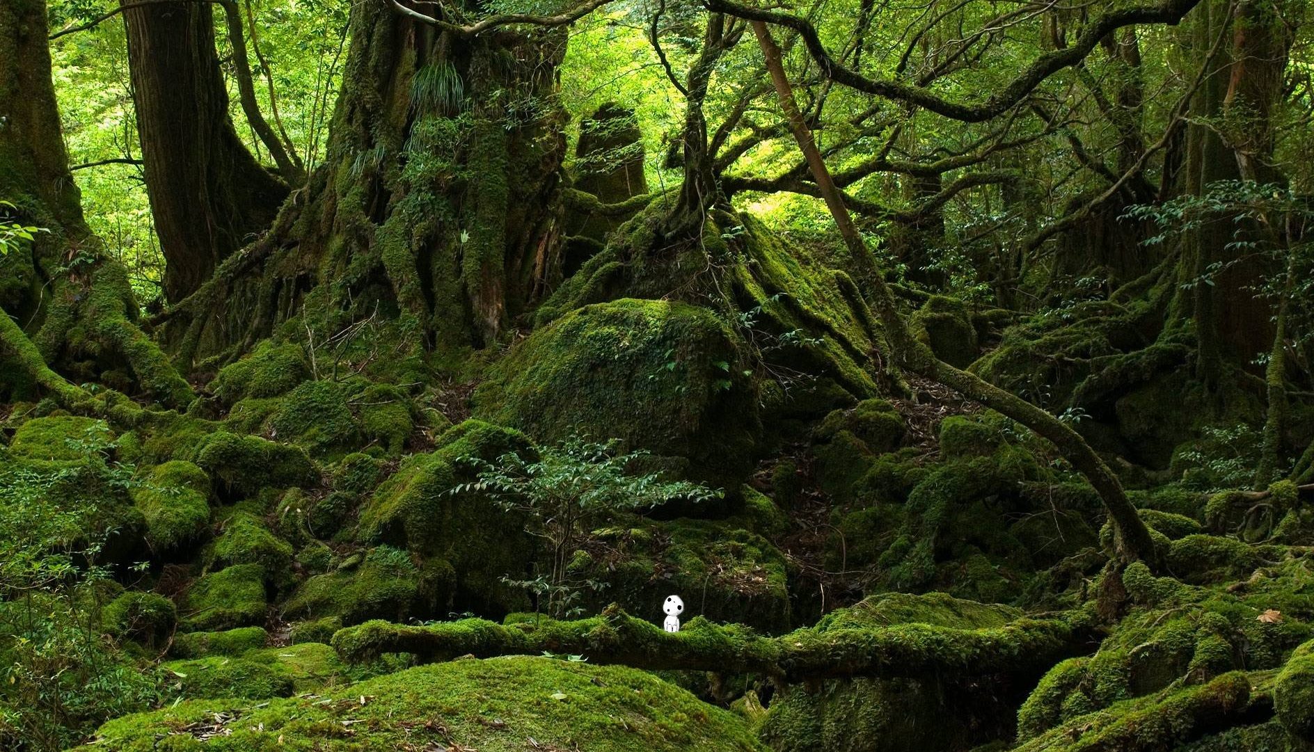 Hayao Miyazaki's kodama forest spirits in the forests, from the anime Princess Mononoke.