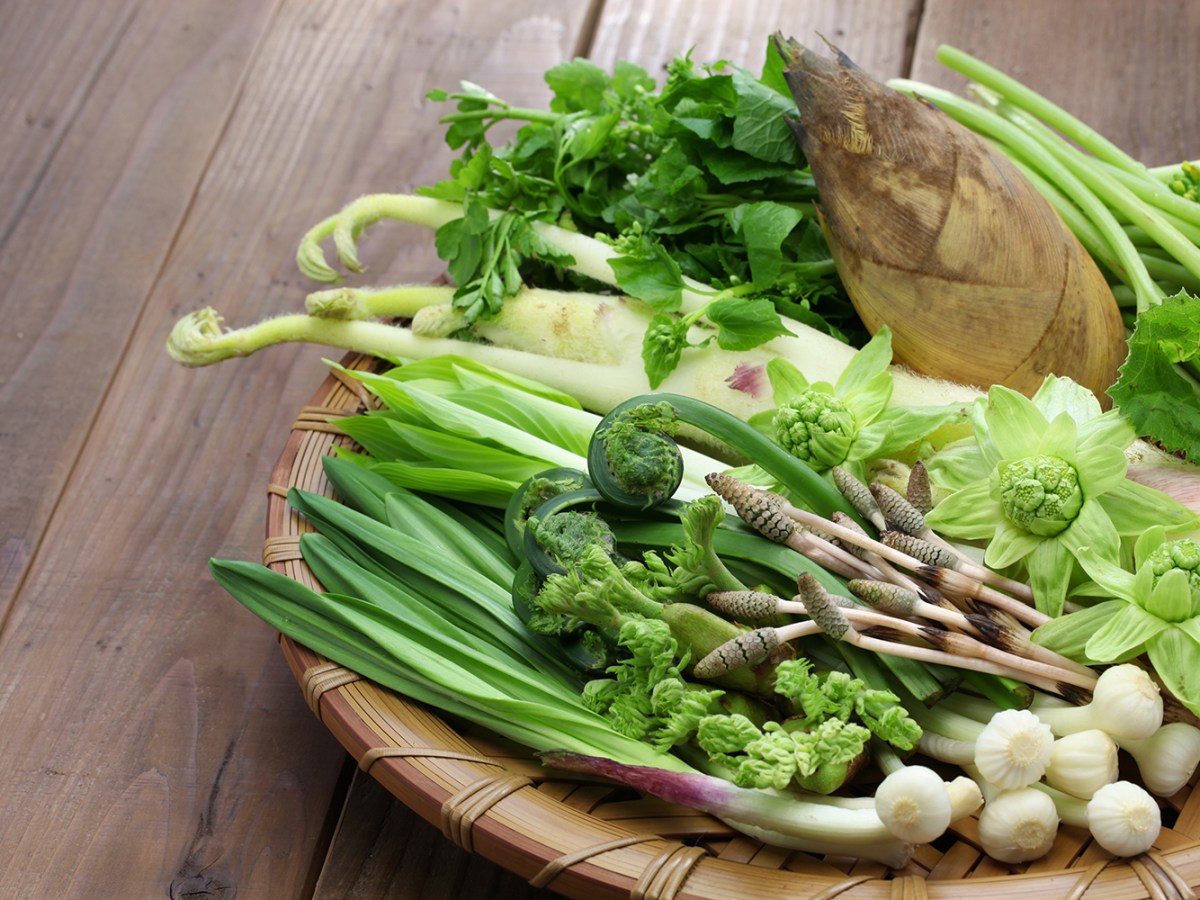 Ancient Word of the Day:&nbsp;Sansai