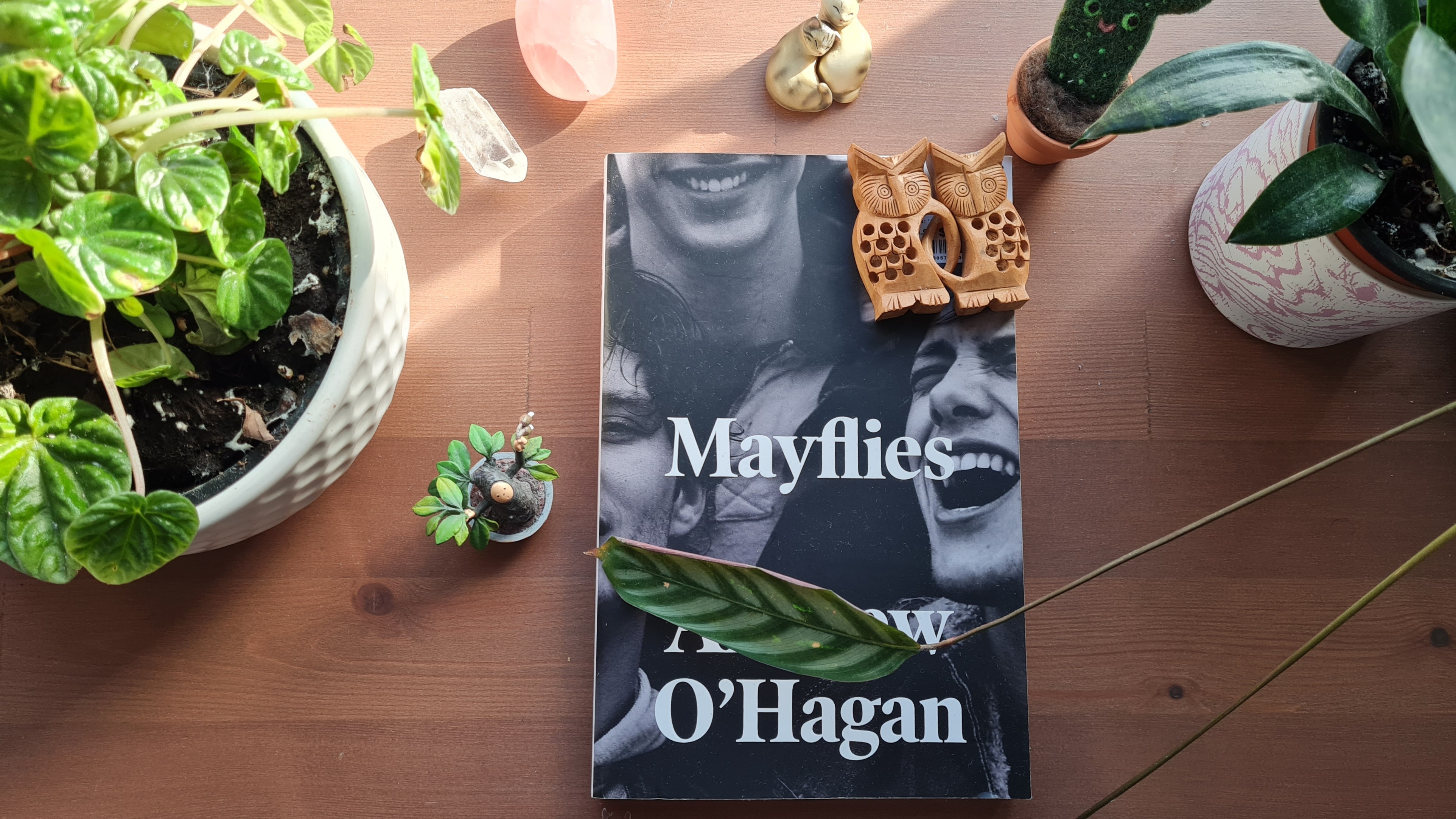 Book Review: Mayflies by Andrew O'Hagan