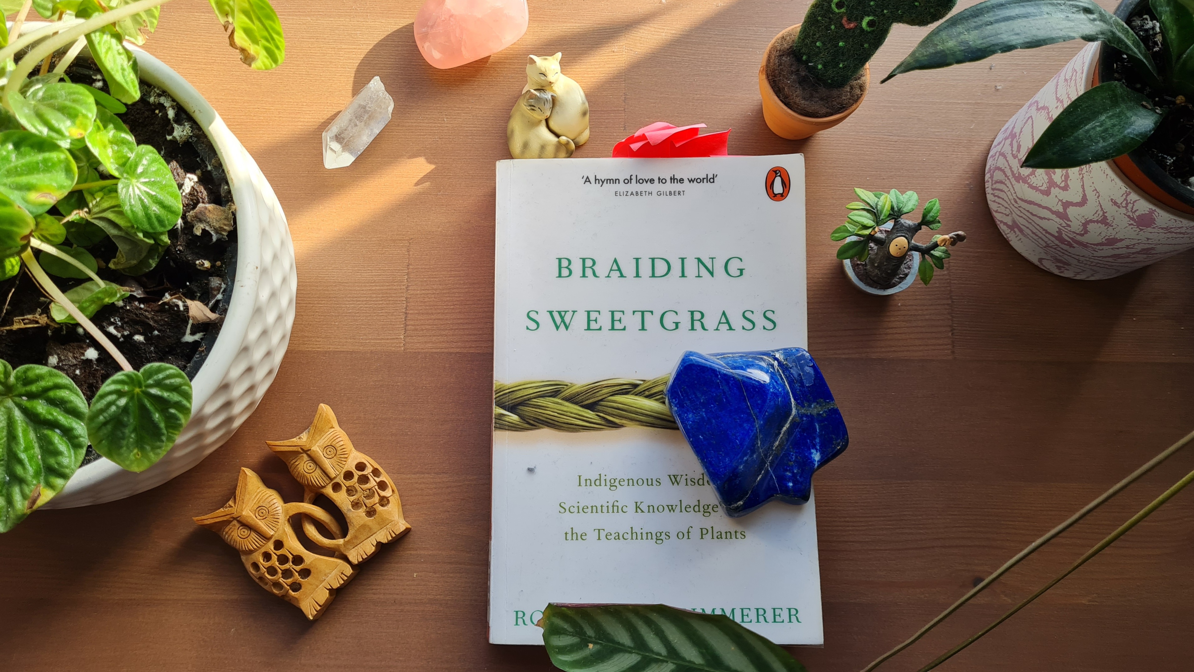 Book Review Braiding Sweetgrass Indigenous Wisdom, Scientific