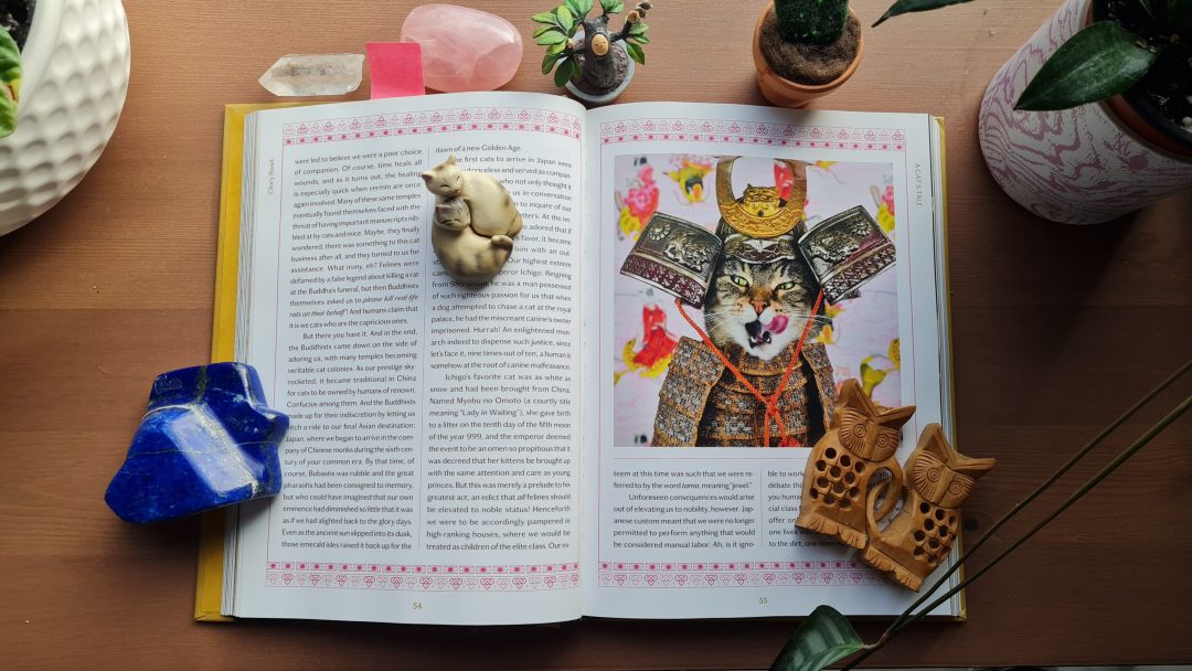 Book Review: A Cat's Tale: A Journey Through Feline History by Baba the Cat