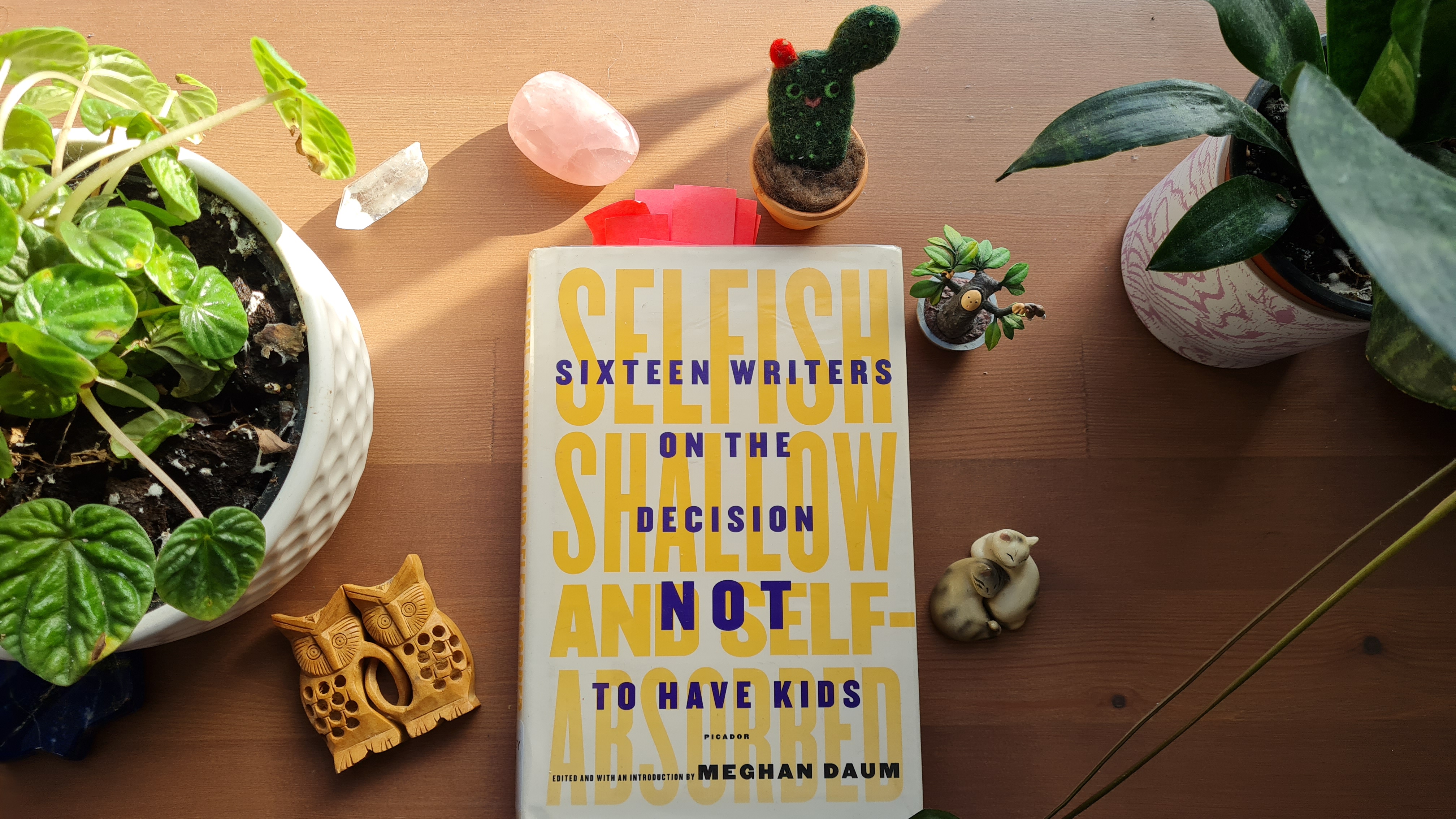 Book Review: Selfish, Shallow and Self-Absorbed. 16 writers on the decision to not have kids