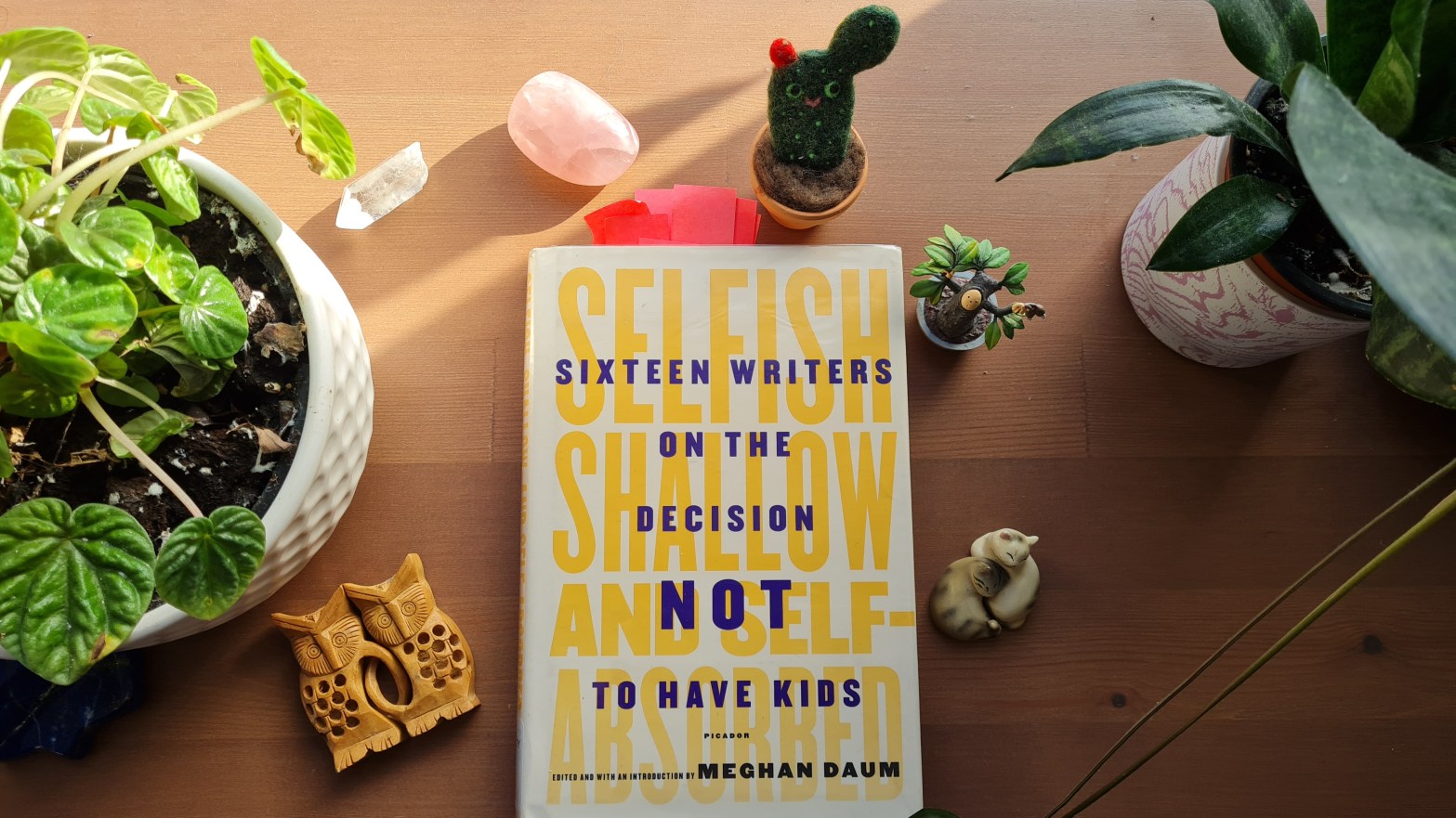 Book Review: Selfish, Shallow and Self-Absorbed. 16 writers on the decision to not have kids