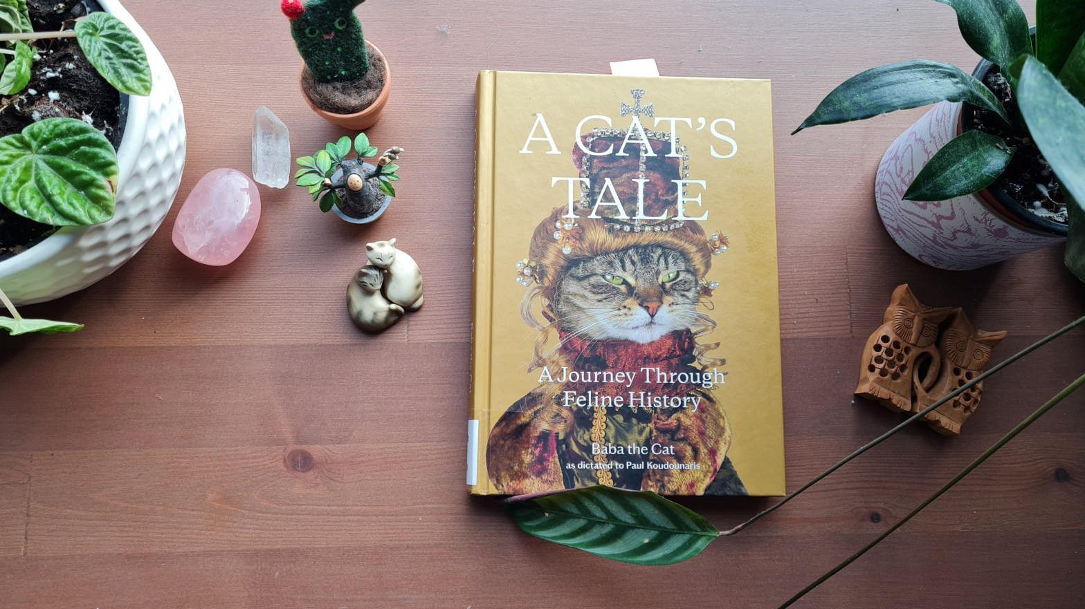 Book Review: A Cat's Tale: A Journey Through Feline History by Baba the Cat