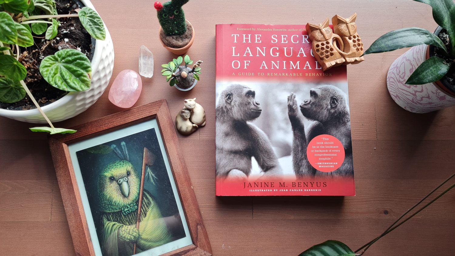 Book Review: The Secret Language of Animals by Janine M Benus