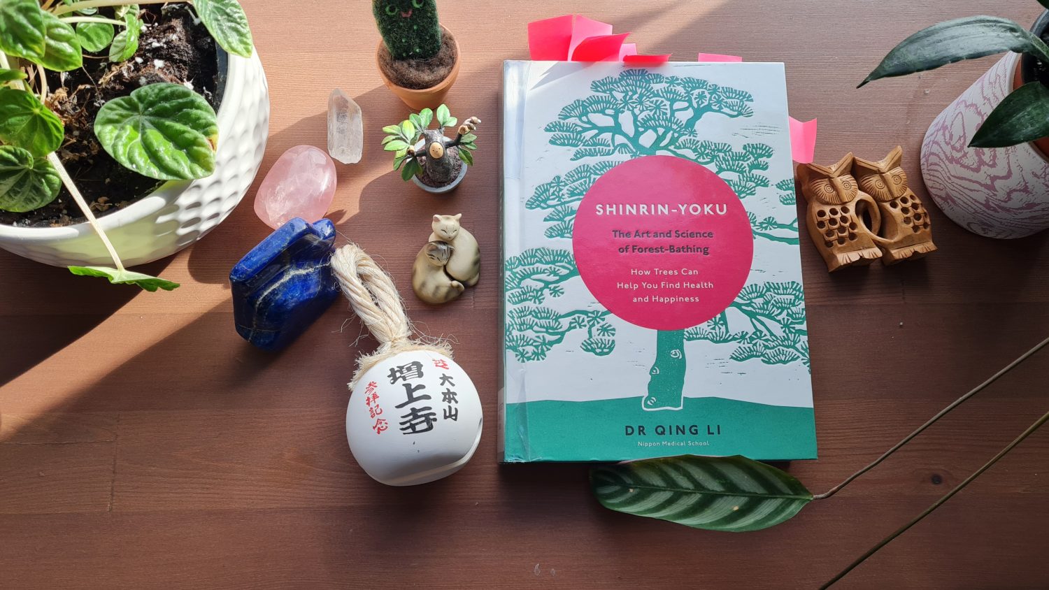 Book Review: Shinrin-Yoku The Art and Science of Forest Bathing by Dr Qing Li
