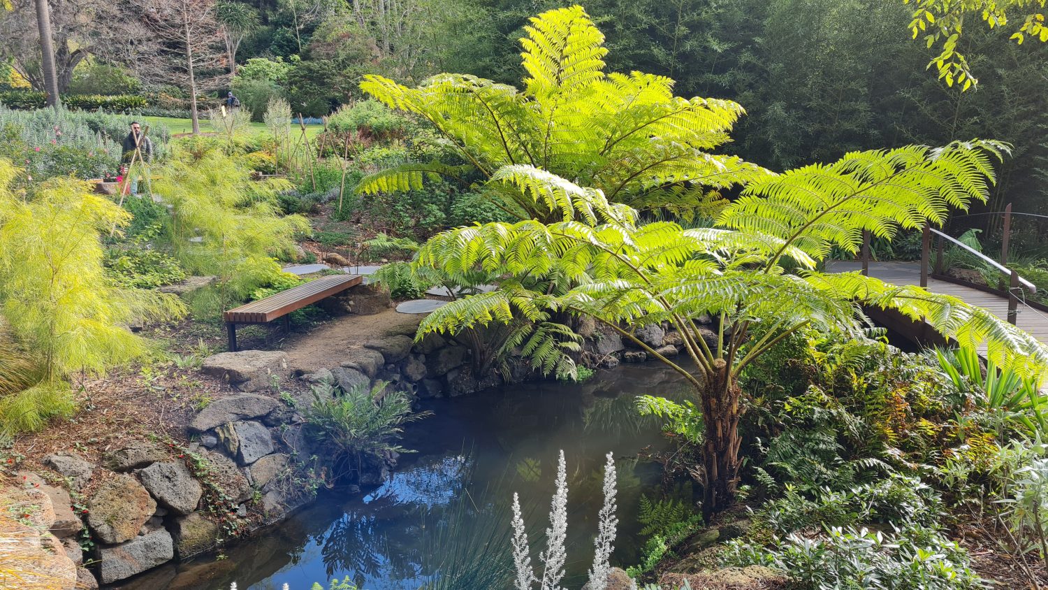 Urban bushwalking in Melbourne