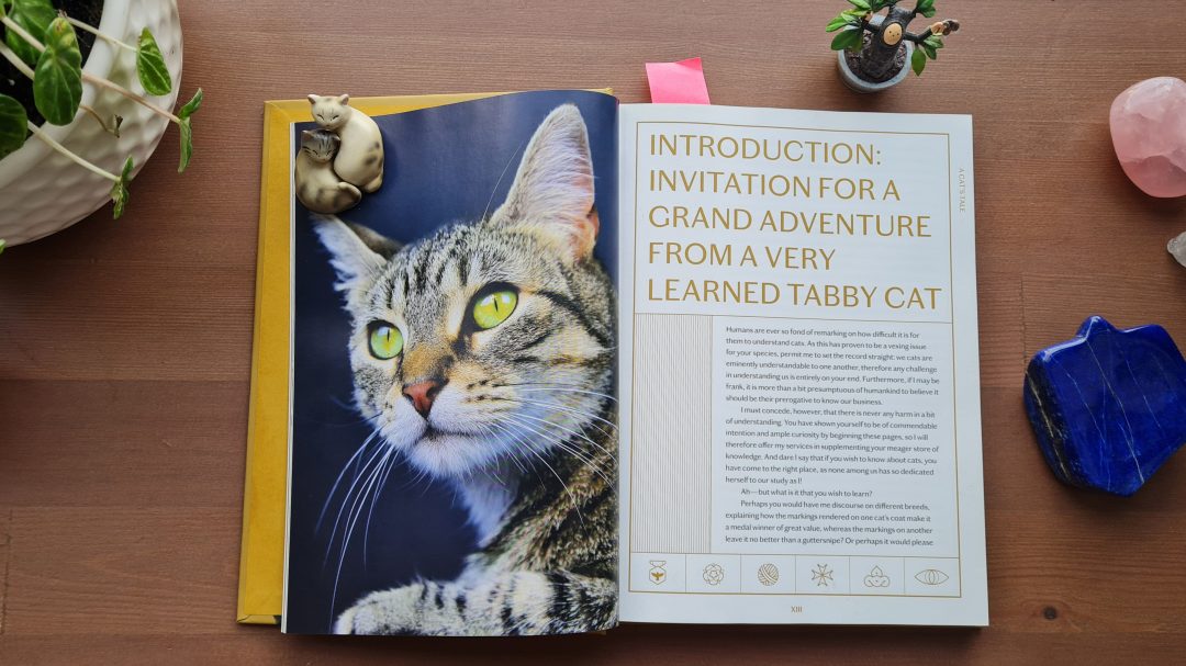 Book Review: A Cat's Tale: A Journey Through Feline History by Baba the Cat