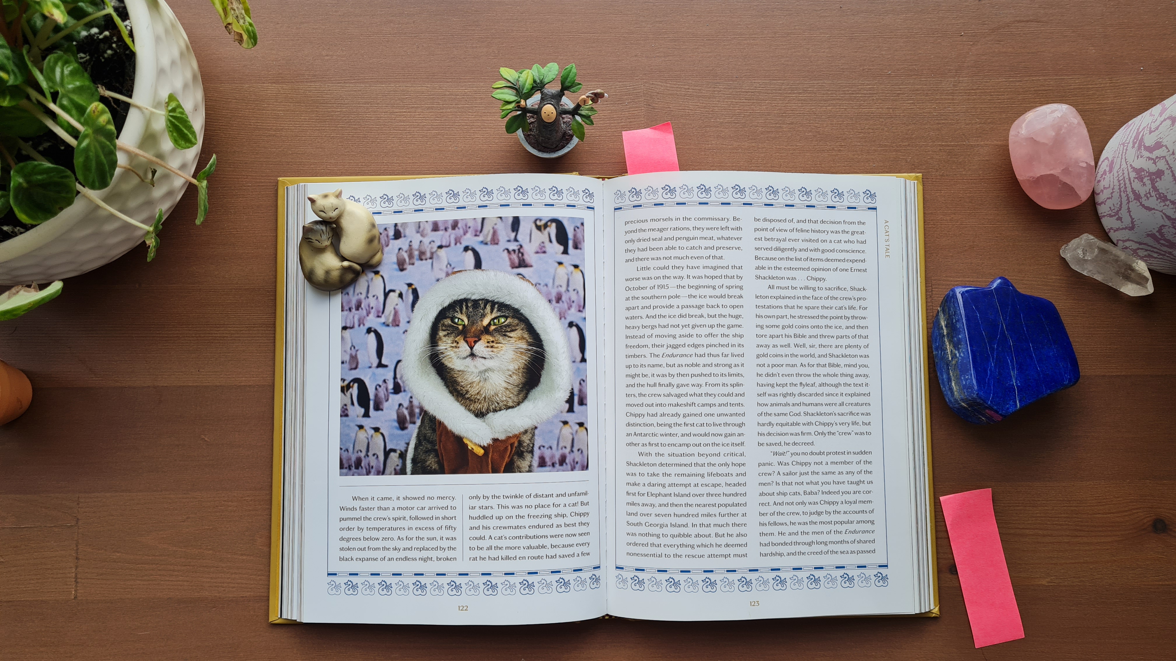 Book Review: A Cat's Tale: A Journey Through Feline History by Baba the Cat