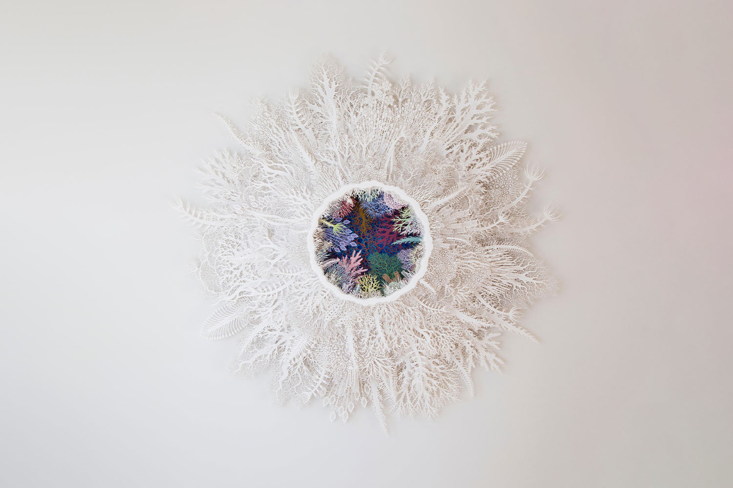 Ghost Coral by Rogan Brown