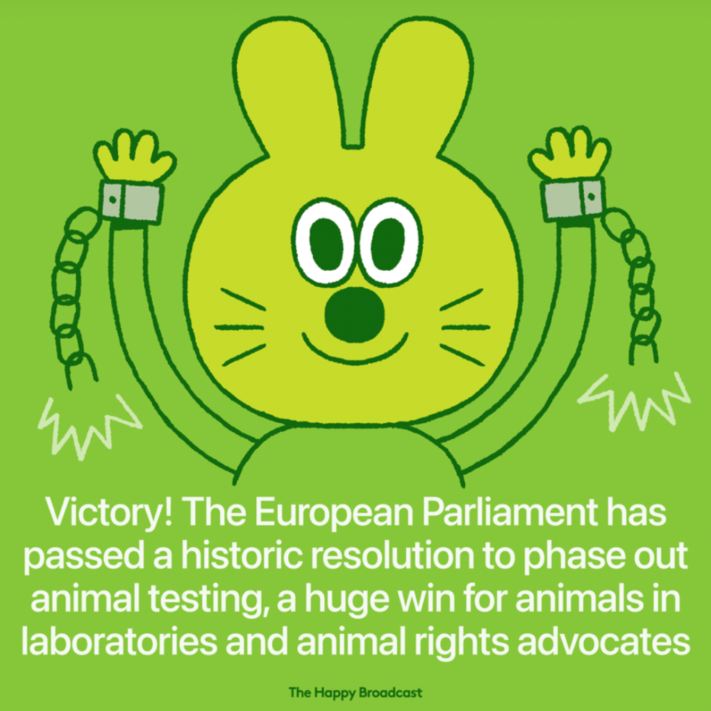 EU Parliament votes in favour to phase out animal testing the EU