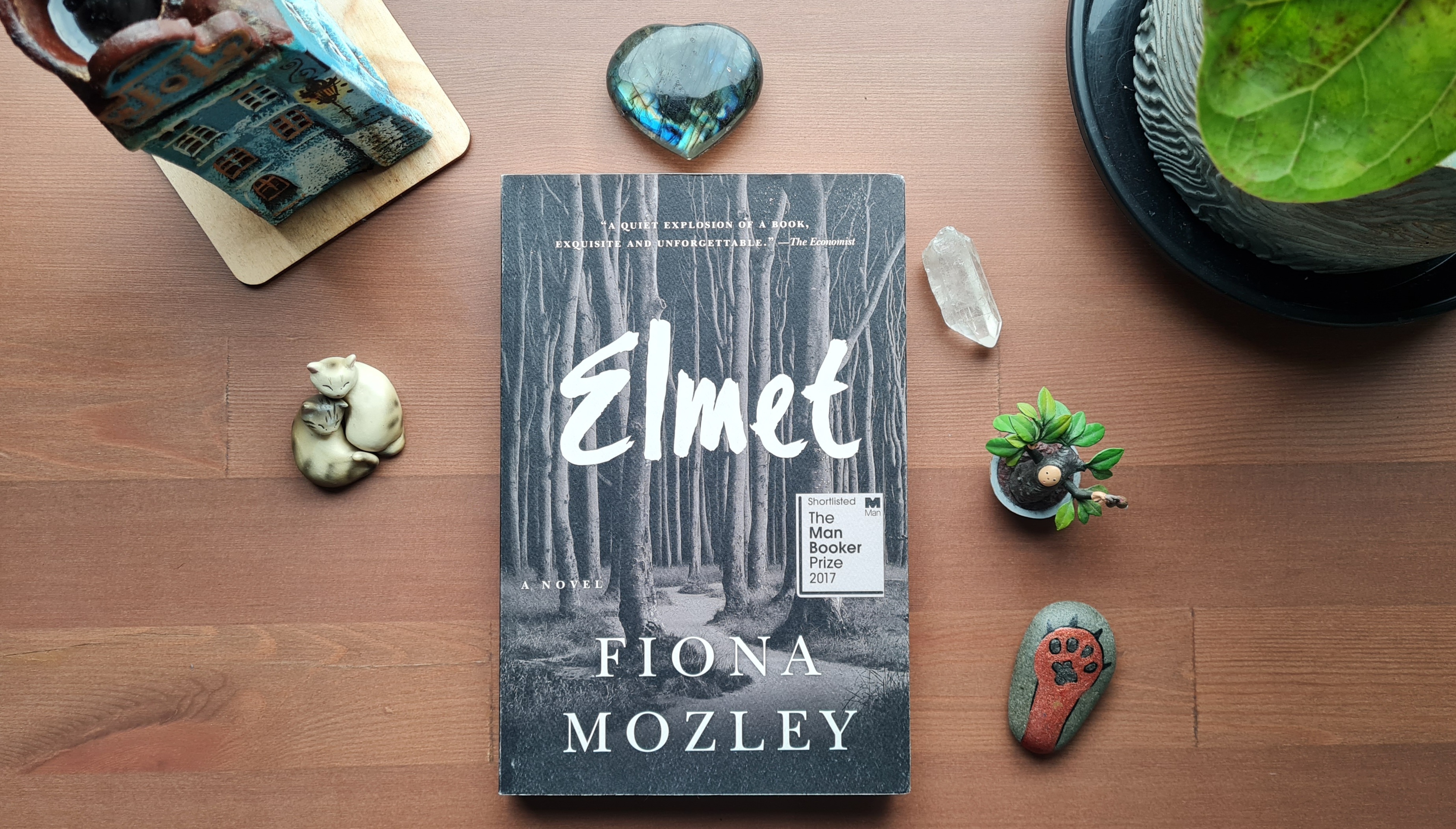 Book Review: Elmet by Fiona Mozley
