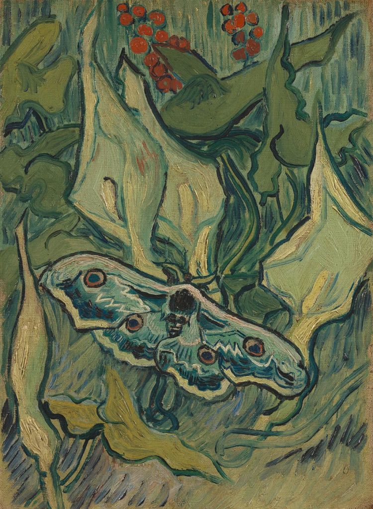 
Giant Peacock Moth On Arum by Vincent van Gogh, 1889. A painting with Saturnia pyri, a saturniid moth, as motif.